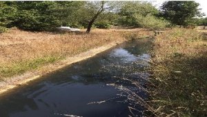 Yenice tarım şehri olma yolunda