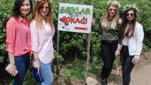 'Aşıklar Sokağı', evlilik programlarına rakip