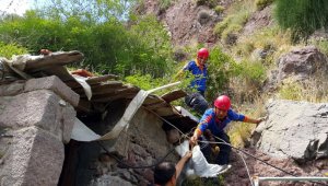 AFAD'tan martı kurtarma operasyonu