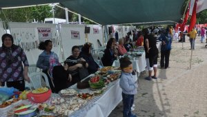 Ayvacık'ta Öğrenme Şenliği