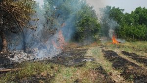 Bahçeler arasında orman yangını