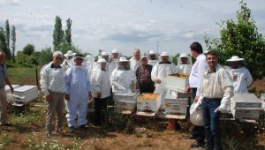 Bayramiç'te ana arı üretim kursu açıldı
