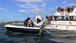 Böyle evlilik teklifi görülmedi