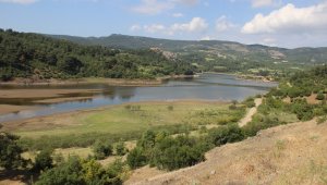 Çanakkale'de altın madeni tepkisi