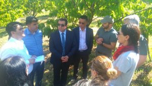 Çin Tarım Heyetinden kiraz bahçelerinde inceleme