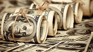 Dolar da son durum...