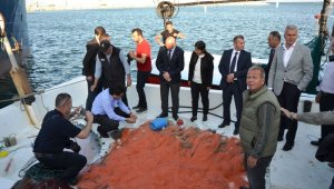 Karabiga jumbo karides av sezonu törenle açıldı