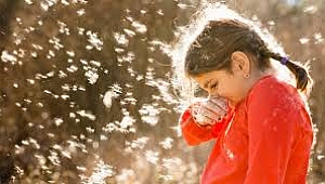 Polenlere meydan okumanın 10 yolu!