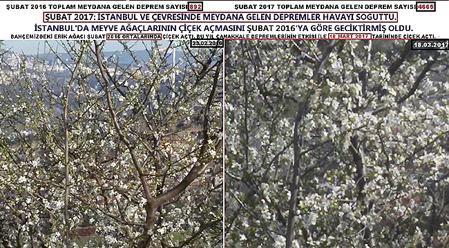 Sütçü: depremler ile yağış arasındaki ilişkiyi iyi bir gözlemci görebilir