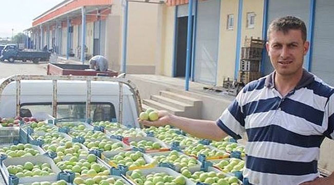 "Bayramiç beyazı" sezona 10 liradan girdi.