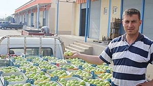 "Bayramiç beyazı" sezona 10 liradan girdi.