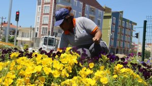 Bu ilçeyi kadınlar güzelleştiriyor