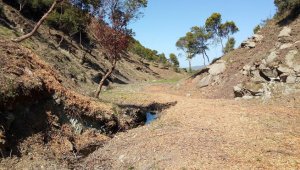 Çalışmalar sırasında gerçek şehit mezarları gün yüzüne çıktı