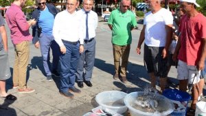 Çanakkale balık ihracatında önemli noktada