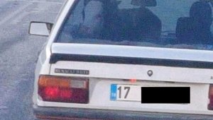 Çanakkale'de 'Dana Ferhat' şaşkınlığı