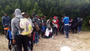 Çanakkale'de 49 kaçak göçmen yakalandı