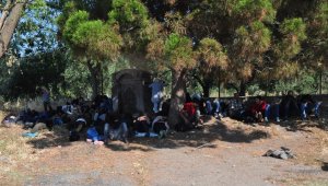 Çanakkale'de 59 göçmen Ege Denizi'ne açılamadan yakalandı