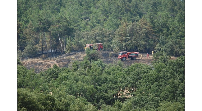 Çanakkale'de arazi yangını