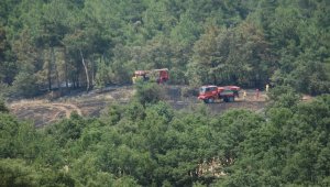 Çanakkale'de arazi yangını