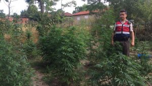 Çanakkale'de uyuşturucu operasyonu