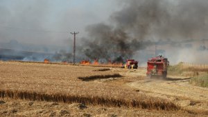 Ekili alanda yangın çıktı
