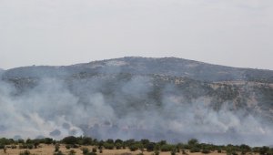 Ezine'deki yangın korkuttu