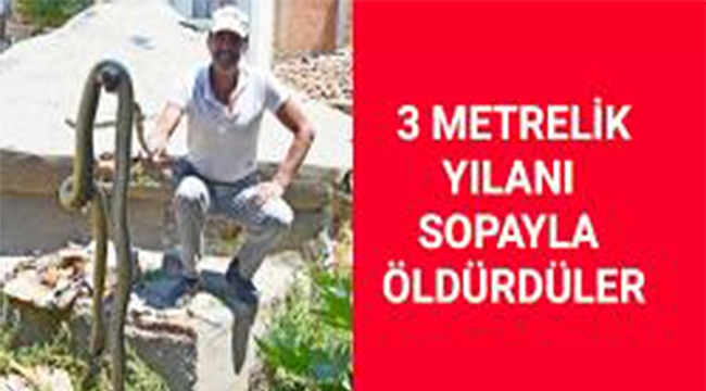Hamamın Bahçesinden 3 Metrelik Yılan Çıkınca…
