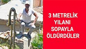 Hamamın Bahçesinden 3 Metrelik Yılan Çıkınca…