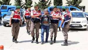 Hayvan hırsızlarına jandarmadan büyük darbe