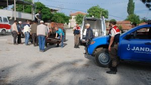 Kestiği ağacın altında kaldı