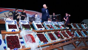 Lapseki'de kiraz yarışmasında dereceye girenler belli oldu