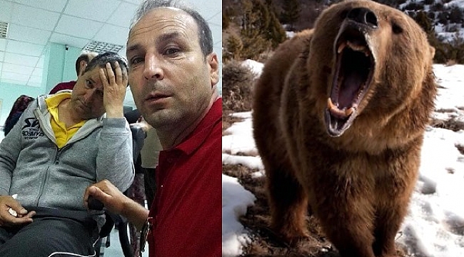 Ormancı Ayı'nın Saldırısını Ucuz Atlattı...