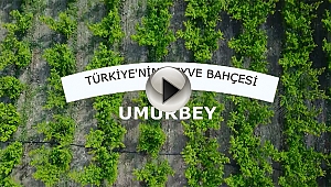 Türkiye'nin Meyve Bahçesi Umurbey