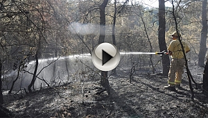  30 Hektarı Kül Eden Çanakkale'deki Orman Yangını Kontrol Altında...