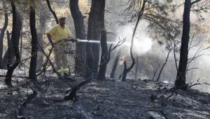 30 hektarı kül eden Çanakkale'deki orman yangını kontrol altında