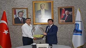 Bayramiç Beyazı Çiftçinin Yüzü Güldürüyor