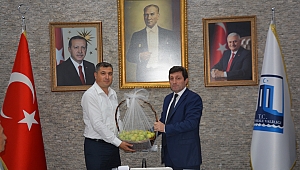 Bayramiç Beyazı Yüz Güldürüyor.