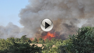 Çanakkale'de Orman Yangını !!!