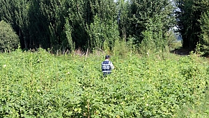 Çanakkale'de Uyuşturucu Operasyonları