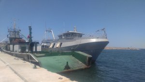 Çanakkale'de 226 kaçak göçmen yakalandı