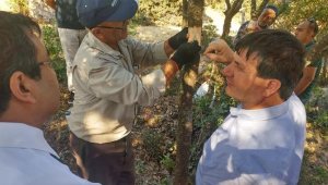 Çanakkale'de Antep fıstığı da yetişecek