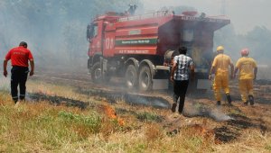 Çanakkale'de arazi yangını