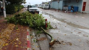 Çanakkale'de sağanak yağmur hayatı felç etti