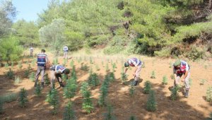 Çanakkale'de uyuşturucu operasyonu