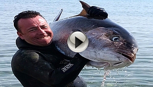 Dev balığı zıpkınla avladı. Saniye saniye kameraya kaydetti.