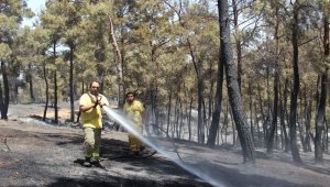 Ezine'deki yangın tamamen kontrol altında