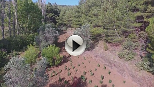 Jandarmadan Drone'lu Uyuşturucu Operasyonu...