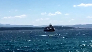 Karı-Koca Boğazın Ortasında Gemiden Atladılar...