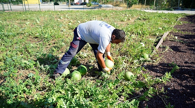 Tohum Sandığında İlk Hasat Yapıldı…