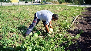 Tohum Sandığında İlk Hasat Yapıldı…